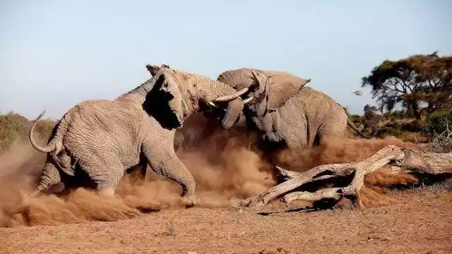 destination-card-image